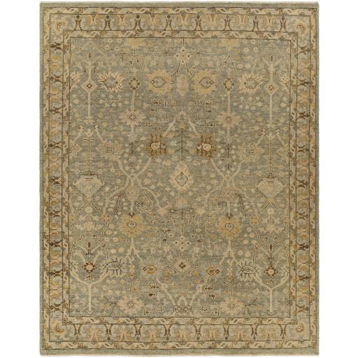 Surya Reign REG-2311 2' x 3' Rug