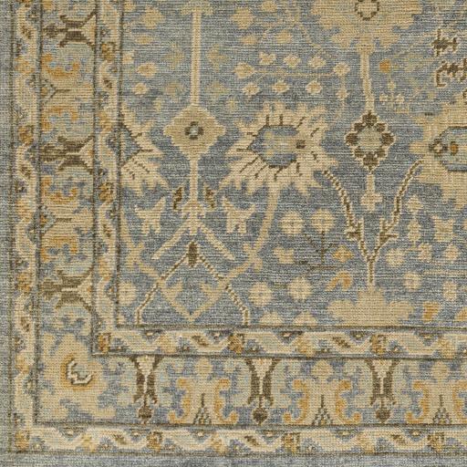 Surya Reign REG-2312 Beige Dark Brown 9' x 12' Rug