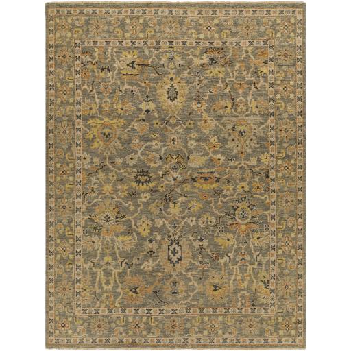 Surya Reign REG-2313 2' x 3' Rug