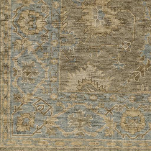 Surya Reign REG-2315 Denim Dusty Sage 6' x 9' Rug
