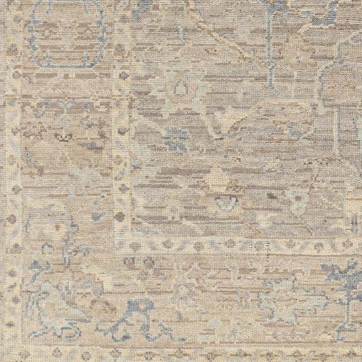 Surya Reign REG-2322 Beige Denim 6' x 9' Rug