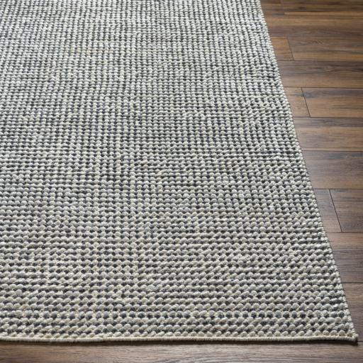 Surya Reika REK-2302 Beige Charcoal 2' x 3' Rug