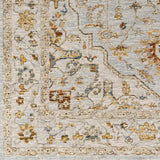 Surya Reina REN-2304 6'7" x 9'6" Rug
