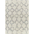 Surya Riah RIH-2301 2' x 3' Rug
