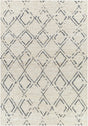 Surya Riah RIH-2301 8' x 10' Handmade Rug