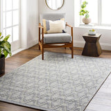Surya Napoli NPO-2314 2' x 3' Rug