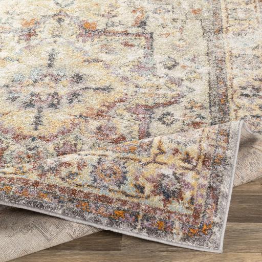 Surya New Mexico NWM-2305 2' x 3' Rug