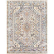 Surya New Mexico NWM-2309 7'10" x 10'2" Rug