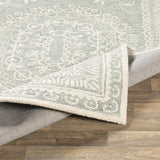 Surya Newcastle NCS-2306 2' x 3' Rug