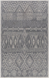 Surya Newcastle NCS-2316 2' x 3' Rug