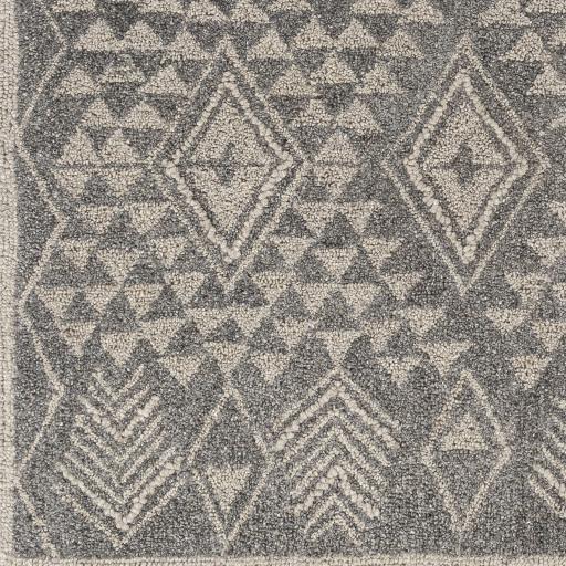 Surya Newcastle NCS-2316 2' x 3' Rug
