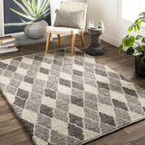 Surya Nico NIC-7002 8' x 10' Rug