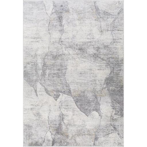 Surya Norland NLD-2310 2'7" x 3'11" Rug