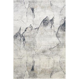 Surya Norland NLD-2311 2'7" x 3'11" Rug