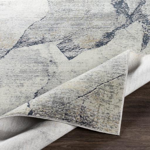 Surya Norland NLD-2311 6'7" x 9'6" Rug