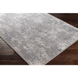 Surya Norland NLD-2313 Charcoal Cream 2'7" x 3'11" Rug