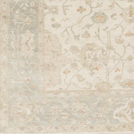 Surya Normandy NOY-8002 4' x 6' Rug