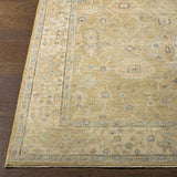 Surya Normandy NOY-8008 2' x 3' Rug