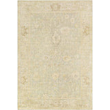 Surya Normandy NOY-8009 4' x 6' Rug