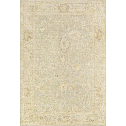 Surya Normandy NOY-8009 4' x 6' Rug