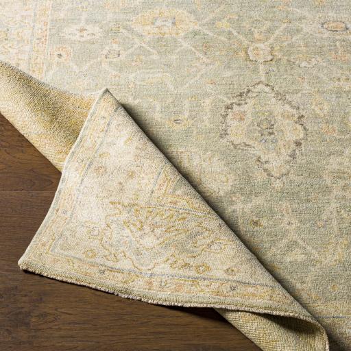 Surya Normandy NOY-8009 4' x 6' Rug