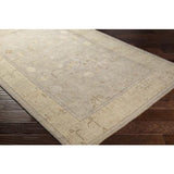 Surya Normandy NOY-8012 Beige Brown 12' x 15' Rug