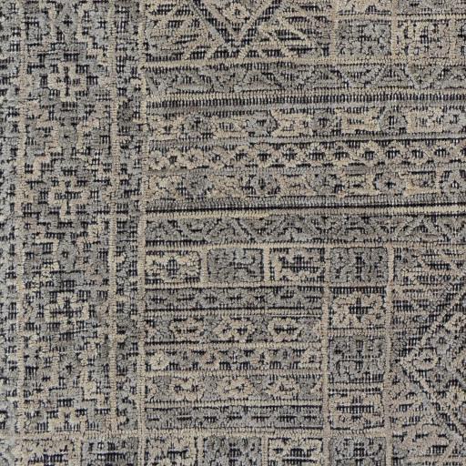 Surya Oakland OAA-1009 2' x 3' Rug