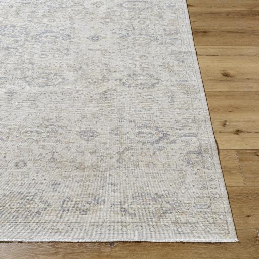 Surya Once Upon a Time OAT-2304 Gray Ivory 1'11" x 2'11" Rug