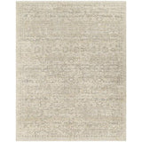 Surya Once Upon a Time OAT-2306 9'10" x 12'6" Rug