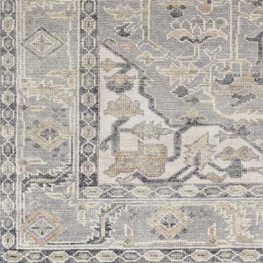 Surya Palais PAL-2306 Beige Charcoal 2' x 3' Rug