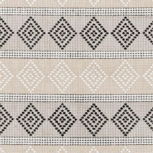 Surya Palermo PLR-2305 9'2" x 12' Rug