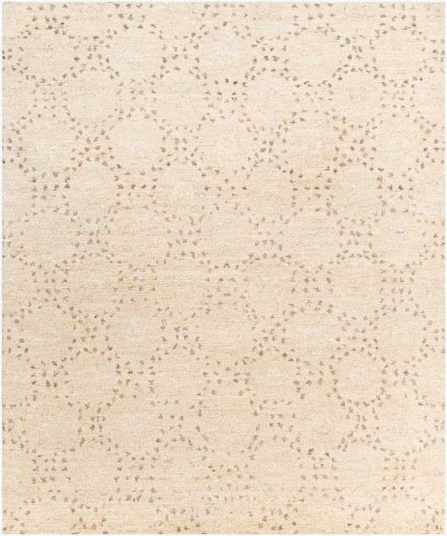 Surya Pampa PAP-1000 8' x 10' Handmade Rug