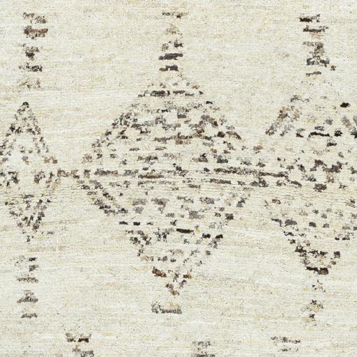 Surya Pampa PAP-1001 10' x 14' Rug