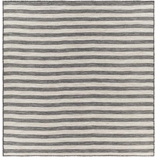 Surya Pasadena PSA-2304 4'3" x 5'11" Rug