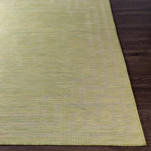 Surya Pasadena PSA-2348 2'6" x 7'3" Rug