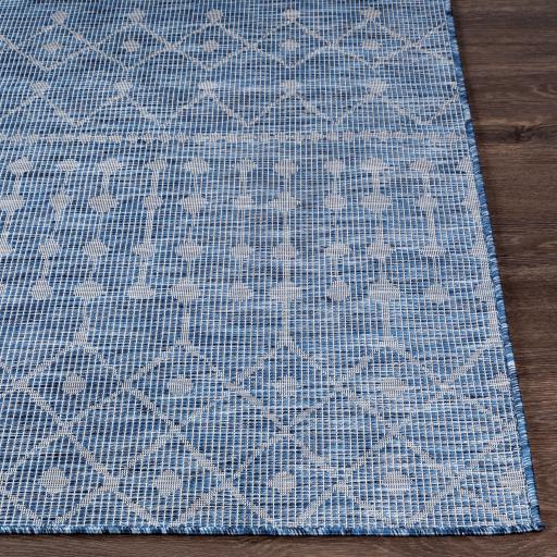 Surya Pasadena PSA-2375 2'6" x 7'3" Rug