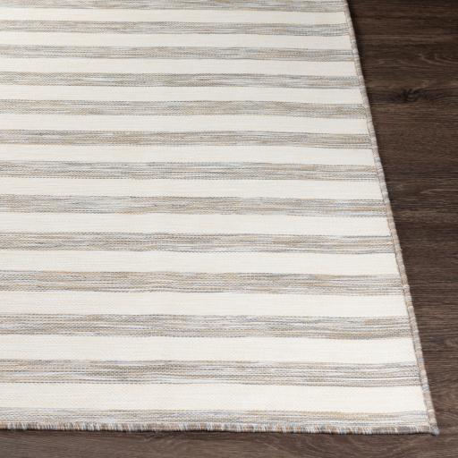 Surya Pasadena PSA-2381 2'7" x 7'3" Rug