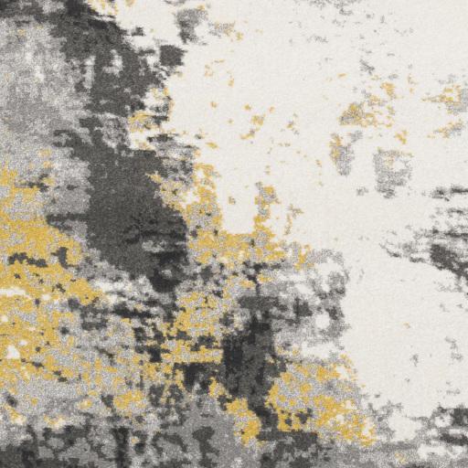 Surya Pepin PEI-1011 2' x 2'11" Rug