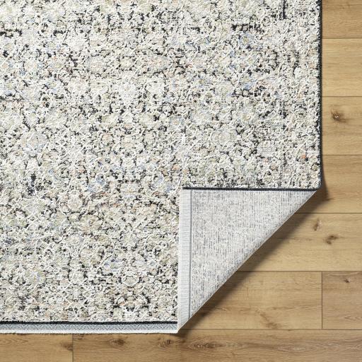 Surya Rivaldo RVD-2300 2'7" x 7'10" Rug