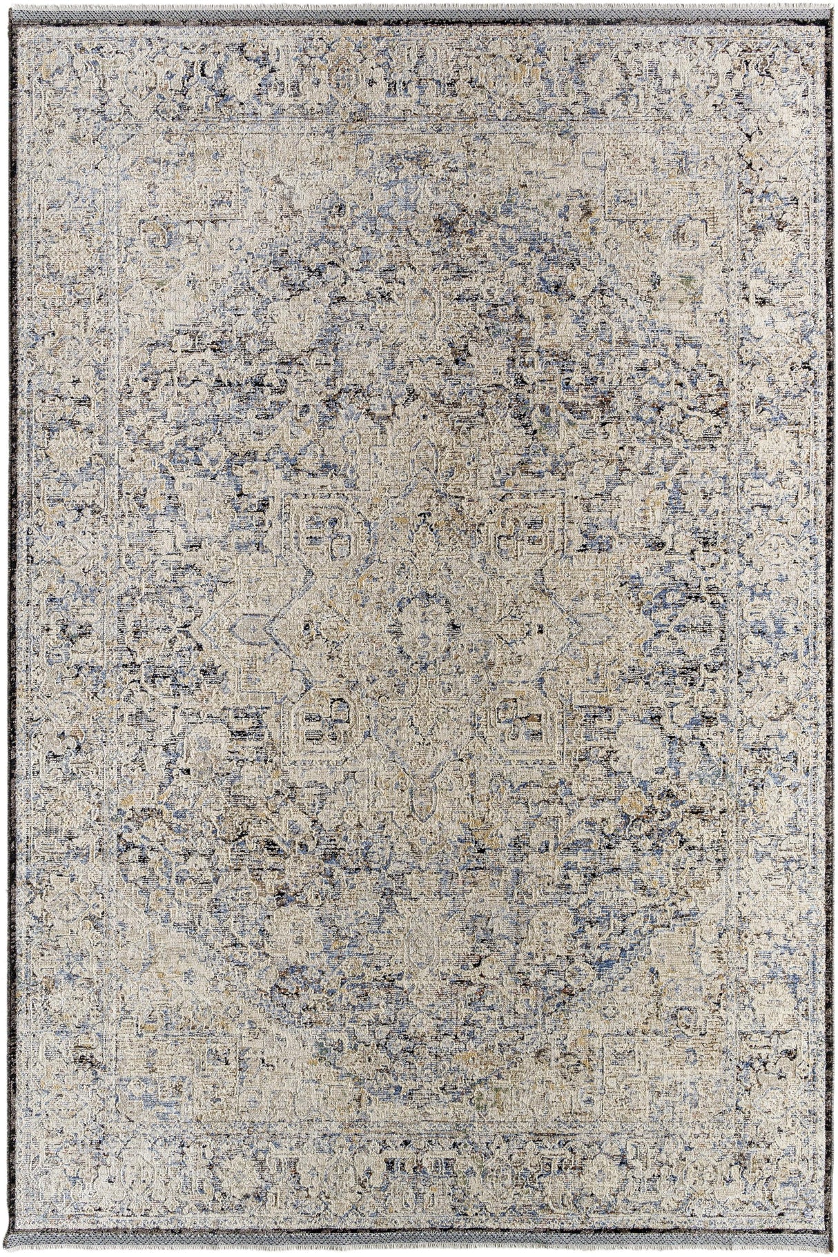 Surya Rivaldo RVD-2304 2'4" x 3'9" Rug