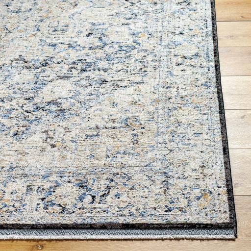 Surya Rivaldo RVD-2304 Black Blue 2'4" x 3'9" Rug