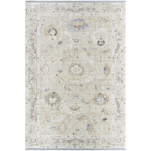 Surya Rivaldo RVD-2305 2' x 2'11" Rug