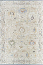 Livabliss Rivaldo RVD-2305 2'4" x 3'9" Machine Woven Rug