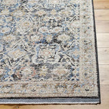 Surya Rivaldo RVD-2306 2'4" x 3'9" Rug
