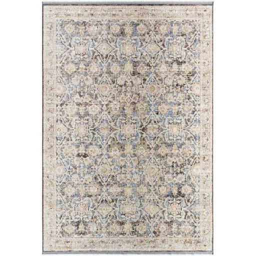 Surya Rivaldo RVD-2306 2'4" x 3'9" Rug