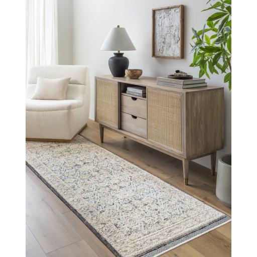 Surya Rivaldo RVD-2306 5' x 7' Rug