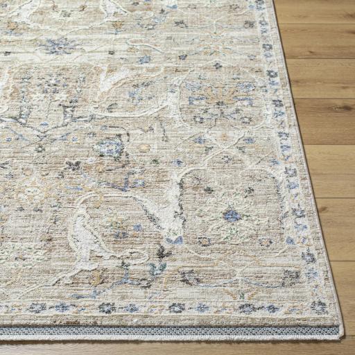 Surya Rivaldo RVD-2309 5' x 7' Rug