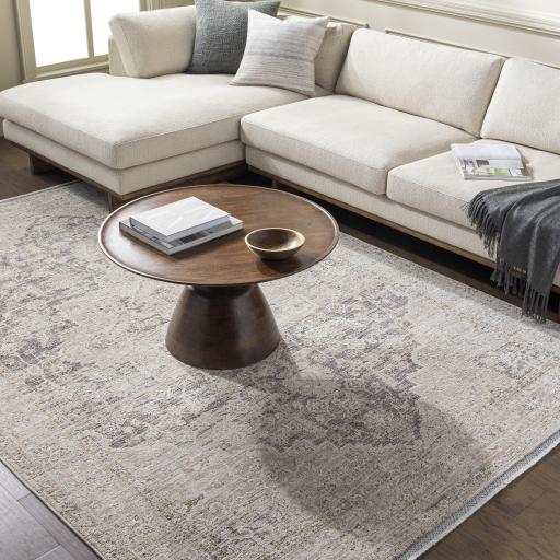 Surya Rivaldo RVD-2310 9'4" x 13'1" Rug