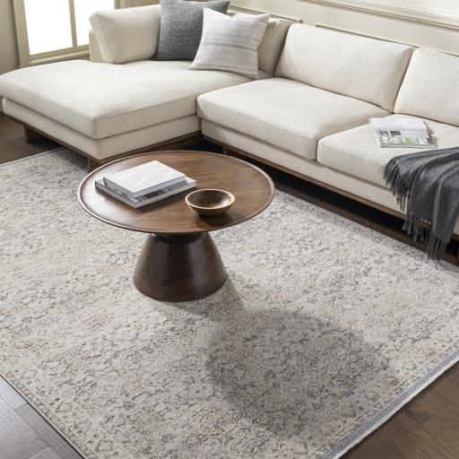 Surya Rivaldo RVD-2311 2'4" x 3'9" Rug