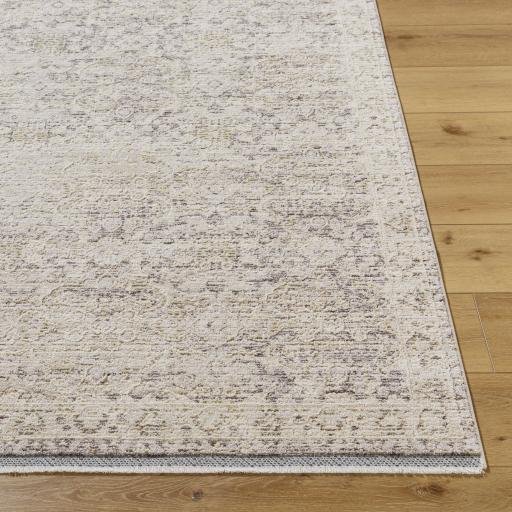 Surya Rivaldo RVD-2311 2'4" x 3'9" Rug
